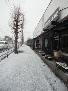 R0033206