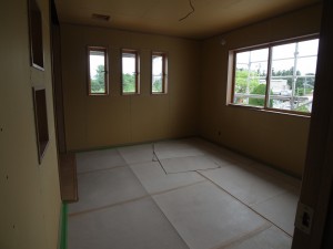 R0036207